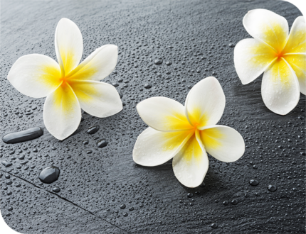 Aloha